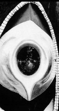 ar_black_stone_kaba_mecca.gif (26405 bytes)