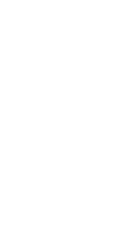 eg_horus_kingtutshrine2_egypt_cairo_museum_c1400bc.gif (15737 bytes)