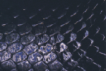 snake02.gif (17423 bytes)