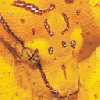 snake10.gif (11733 bytes)